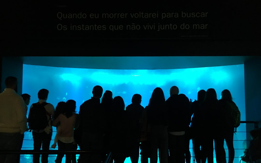 Festa de Natal LG Kids